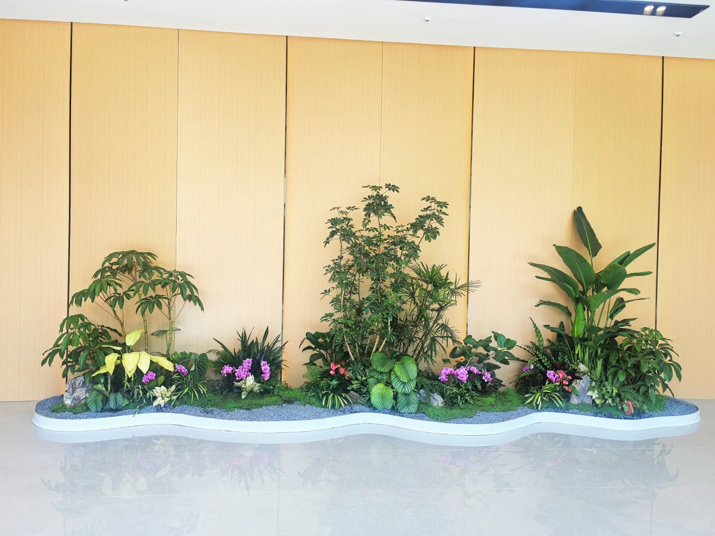 专业盆景租摆,宁波余姚的绿色艺术盛宴